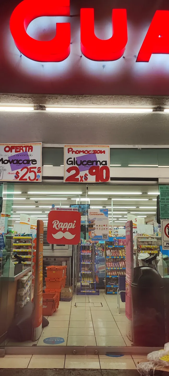 Farmacia Guadalajara Campeche