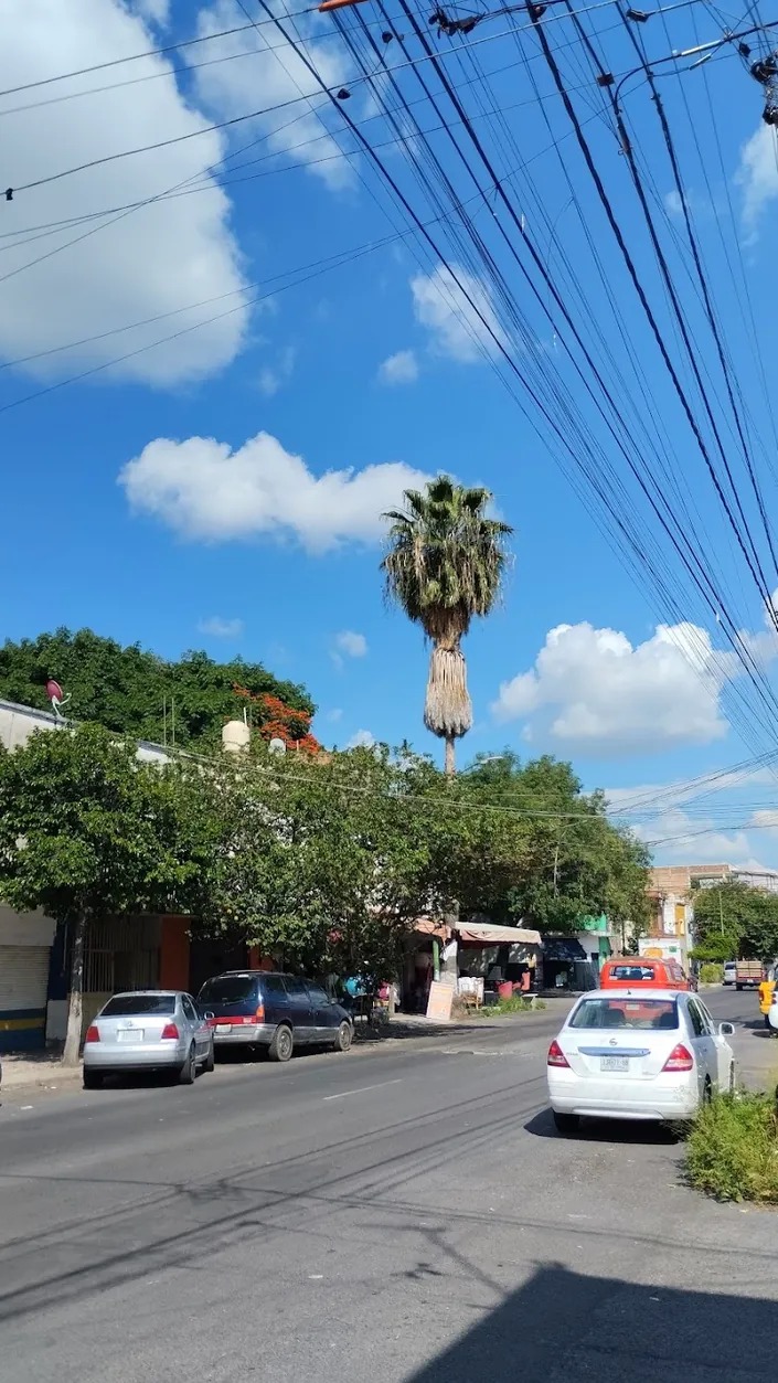 Farmacia Guadalajara, Guadalajara