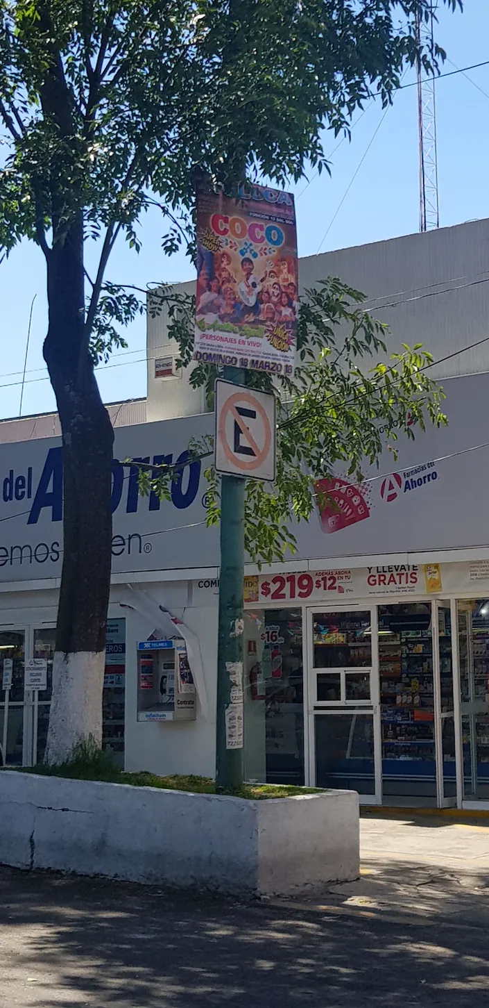 FARMACIAS DEL AHORRO Carranza